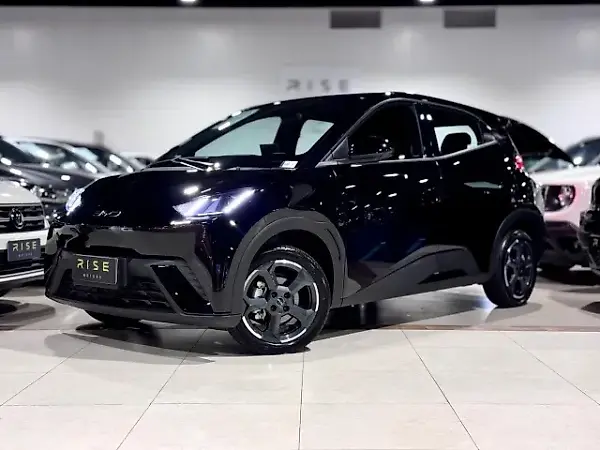 BYD Dolphin Mini - Imagem 1