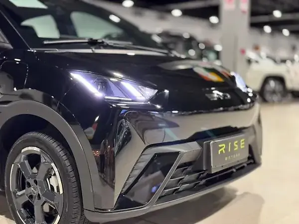 BYD Dolphin Mini - Imagem 14