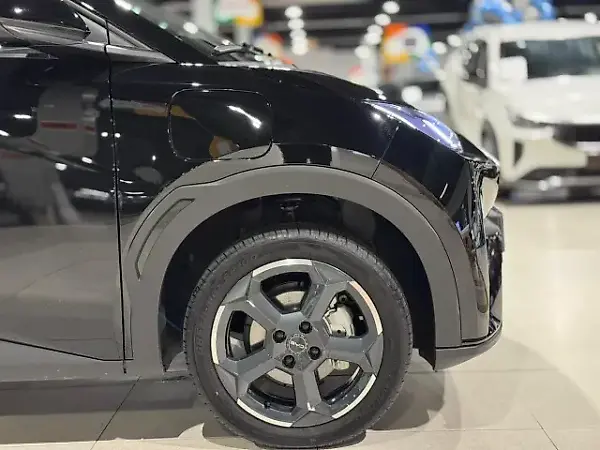 BYD Dolphin Mini - Imagem 11