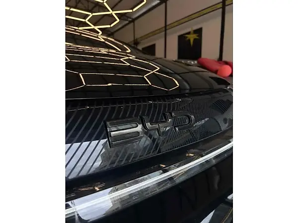 BYD Dolphin - Imagem 2