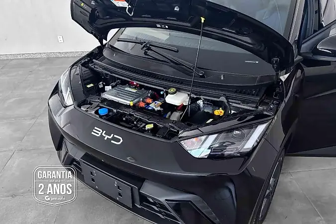 BYD Dolphin Mini - Imagem 6