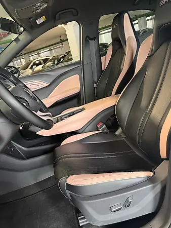 BYD Dolphin Mini - Imagem 4