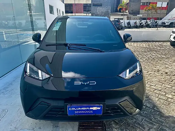 BYD Dolphin Mini - Imagem 2