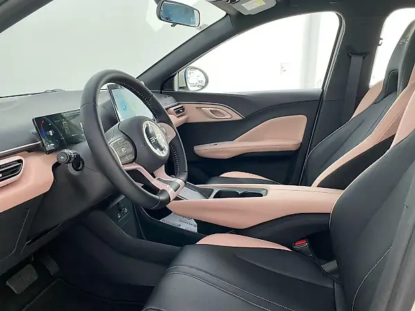 BYD Dolphin - Imagem 14
