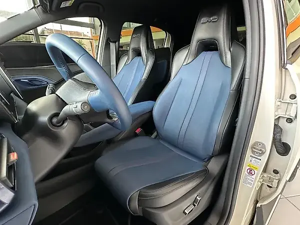 BYD Dolphin Mini - Imagem 11