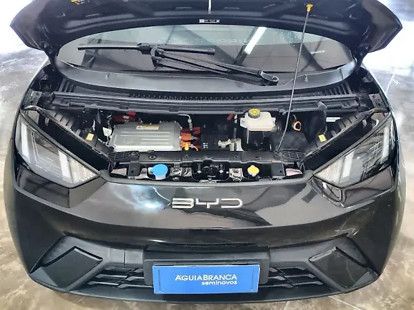 BYD Dolphin Mini - Imagem 6