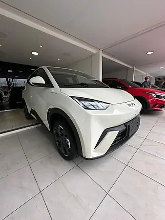 BYD Dolphin Mini - Imagem 1