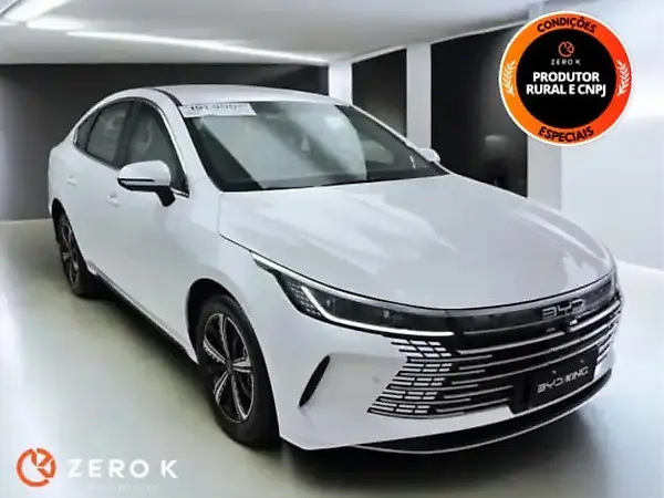 BYD King - Imagem 1