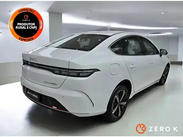 BYD King - Imagem 2