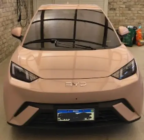 BYD Dolphin Mini - Imagem 1