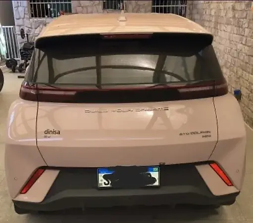 BYD Dolphin Mini - Imagem 2