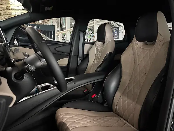 BYD Dolphin - Imagem 10