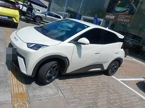 BYD Dolphin Mini - Imagem 2