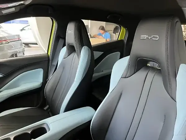 BYD Dolphin Mini - Imagem 9