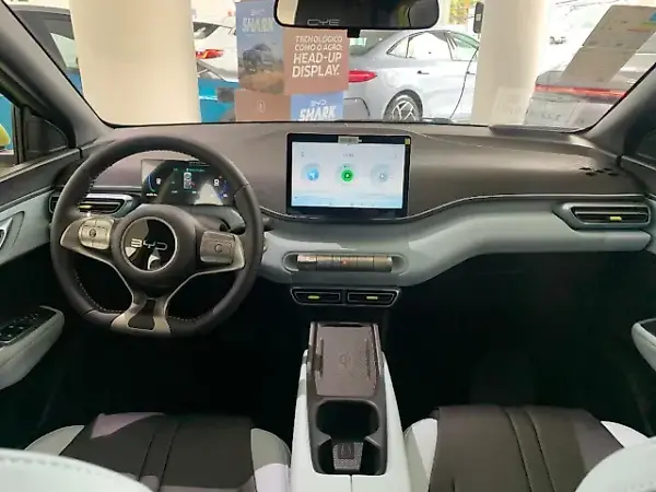 BYD Dolphin Mini - Imagem 14