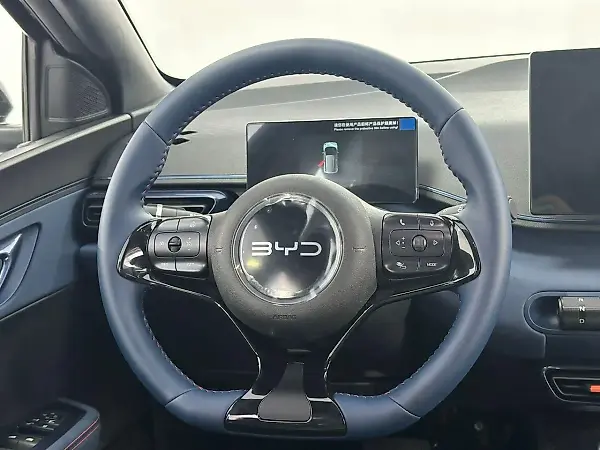 BYD Dolphin Mini - Imagem 6