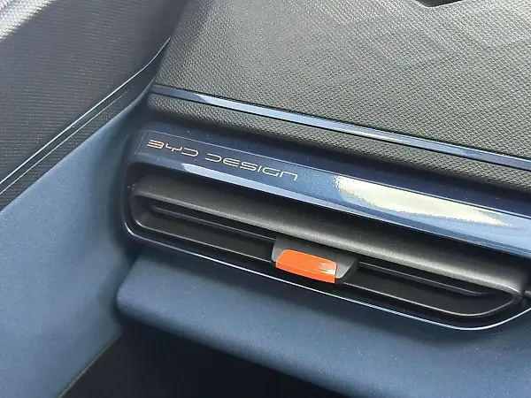 BYD Dolphin Mini - Imagem 13