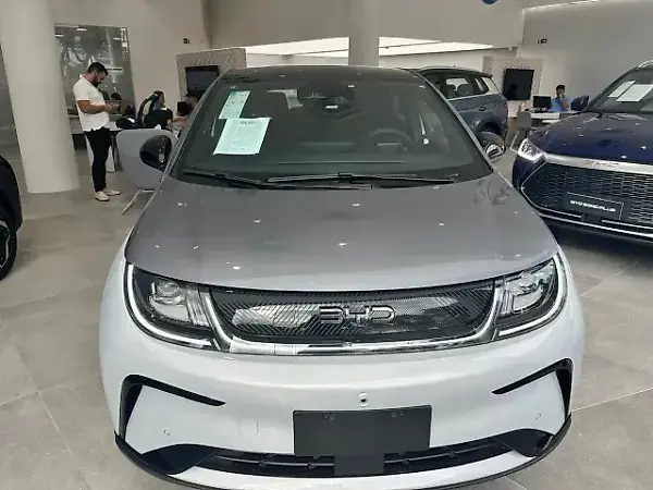 BYD Dolphin Plus - Imagem 1