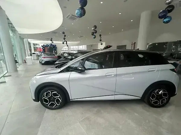 BYD Dolphin Plus - Imagem 11