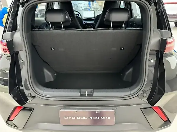 BYD Dolphin Mini - Imagem 10