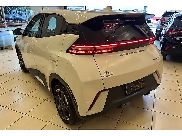 BYD Dolphin - Imagem 18