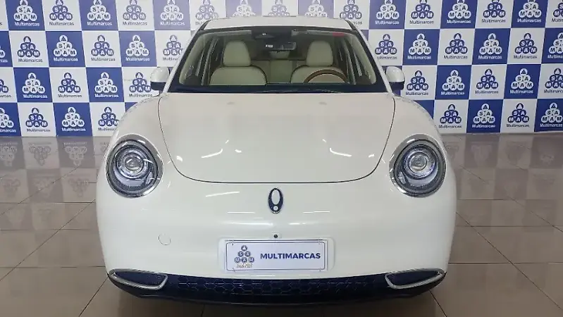GWM Ora 03 - Imagem 2