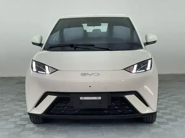 BYD Dolphin Mini - Imagem 1