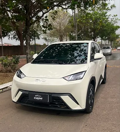 BYD Dolphin Mini - Imagem 1