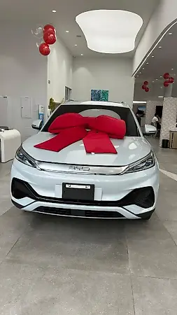 BYD Yuan Plus - Imagem 1