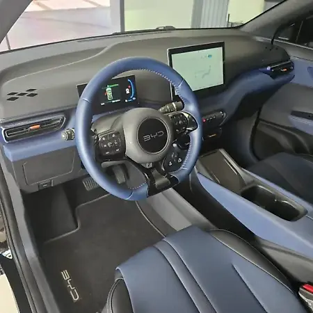 BYD Dolphin Mini - Imagem 11