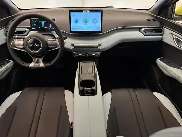 BYD Dolphin Mini - Imagem 13