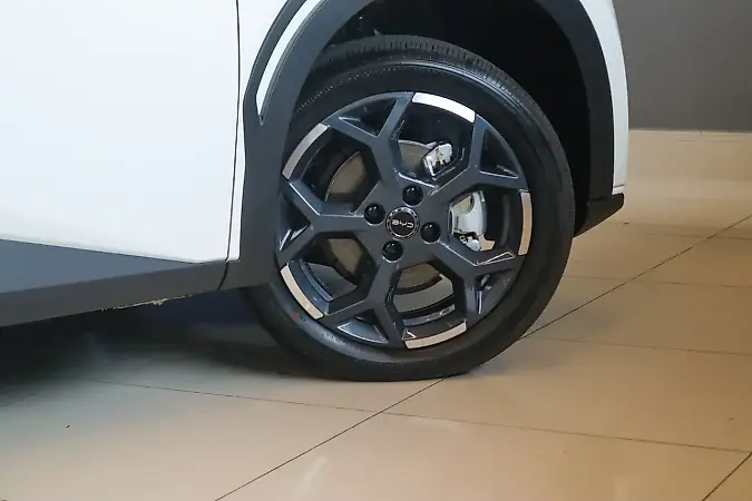BYD Dolphin Mini - Imagem 14