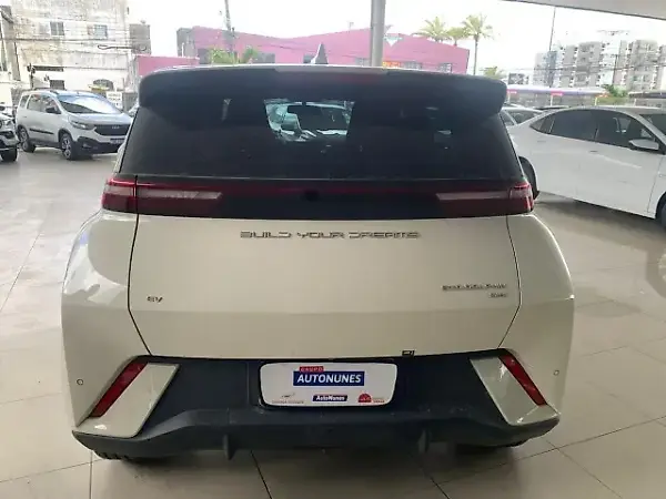 BYD Dolphin Mini - Imagem 16