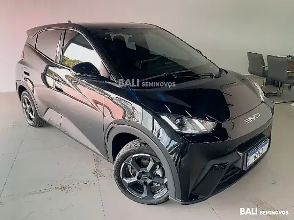 BYD Dolphin Mini - Imagem 7