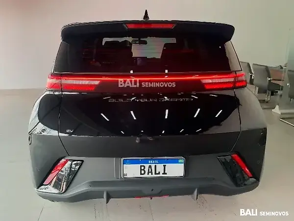 BYD Dolphin Mini - Imagem 4