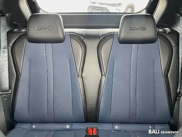 BYD Dolphin Mini - Imagem 18