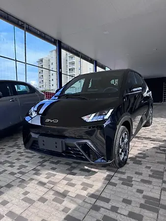 BYD Dolphin Mini - Imagem 1