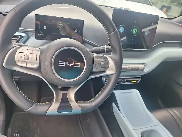 BYD Dolphin Mini - Imagem 9