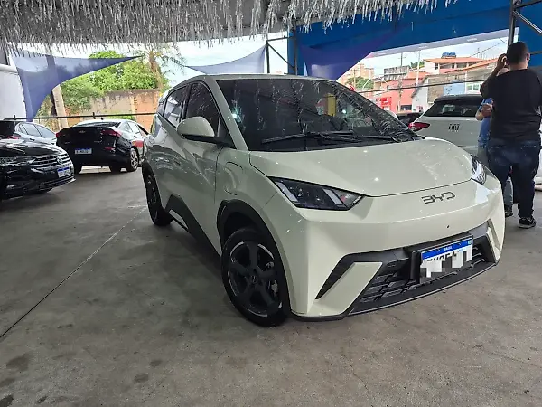 BYD Dolphin Mini - Imagem 18