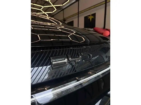 BYD Dolphin Plus - Imagem 4