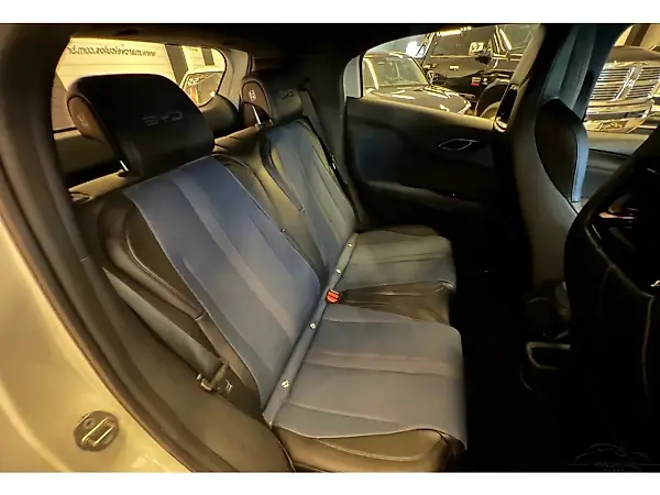 BYD Dolphin Mini - Imagem 16
