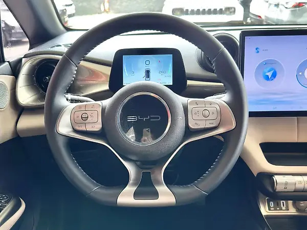 BYD Dolphin - Imagem 10