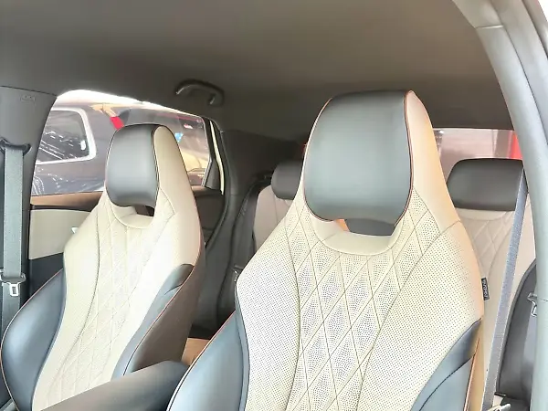 BYD Dolphin - Imagem 9