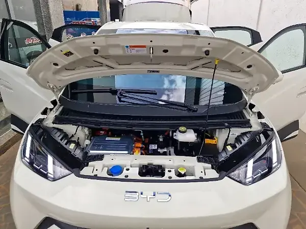 BYD Dolphin Mini - Imagem 12