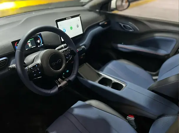 BYD Dolphin Mini - Imagem 9