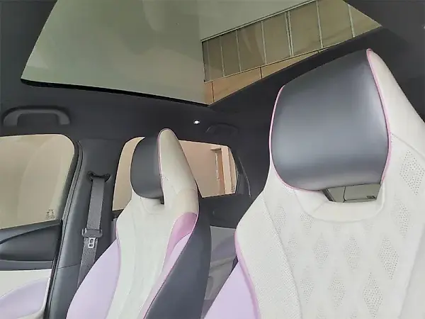 BYD Dolphin Plus - Imagem 11