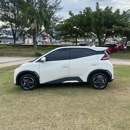 BYD Dolphin Mini - Imagem 4