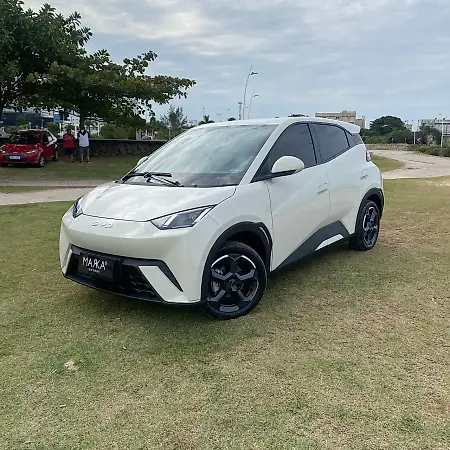 BYD Dolphin Mini - Imagem 3