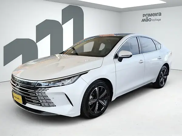 BYD King - Imagem 1