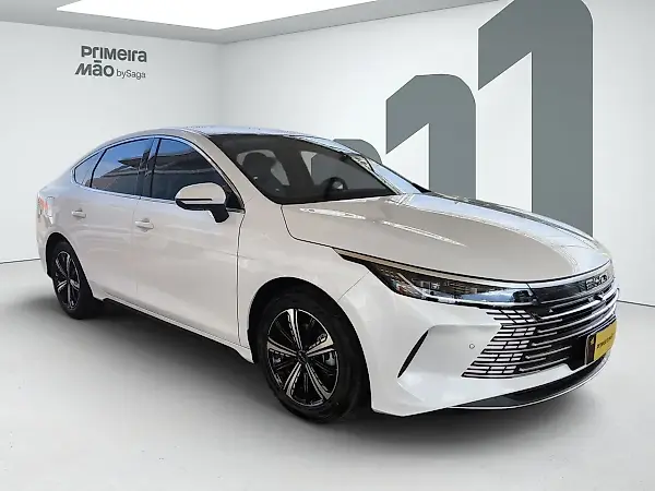 BYD King - Imagem 2